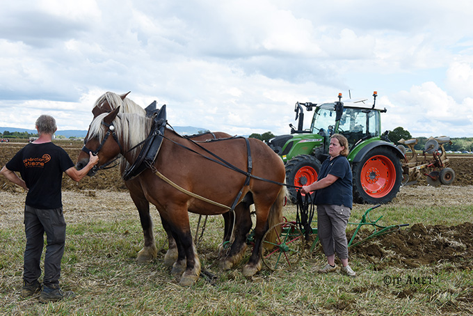 fete agricole