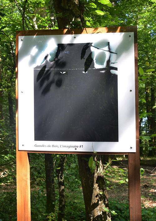expo photo gueules de bois